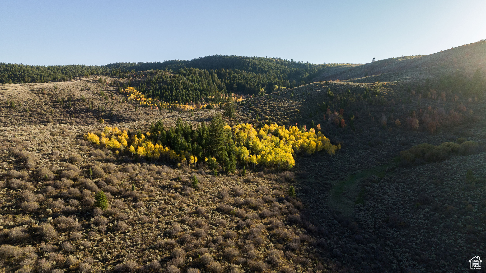 The Tanner Ranch includes 1,717 acres of beautiful mountain lands located just seven miles north of Montpelier, in Bear Lake County, Idaho.  The nearby Bear Lake State Park is known as the "Caribbean of the Rockies", and real estate and development is booming in the area.  The Tanner Ranch borders a mix of BLM, State, and Private lands, and controls grazing leases on several hundred additional acres of BLM and State of Idaho lands that adjoin the 1,717 deeded acres.  The ranch in total can run over 100 cow/calf pairs for summer grazing, and has a productive mix of open valleys and rolling hills in the lower elevations, with dense stands of pine and aspen covering much of the higher elevations, which top out at over 7,100 feet.  "South Hill" is the highest elevation point in the immediate area, and is located on the ranch.  A small creek called Cabin Creek runs through the ranch, along with numerous springs, including a warm spring.  The ranch has legal access from the a county maintained gravel road called Pescadero Road, and all services including a small county airport are located just south of the ranch in or around the city of Montpelier.  The ranch offers excellent habitat for moose, elk, and deer, all of which inhabit the ranch during most seasons of the year, offering the sportsman excellent private hunting opportunities.  Please visit A5 Real Estate's website to download a full information brochure, watch a drone video, and explore the interactive map of the ranch.