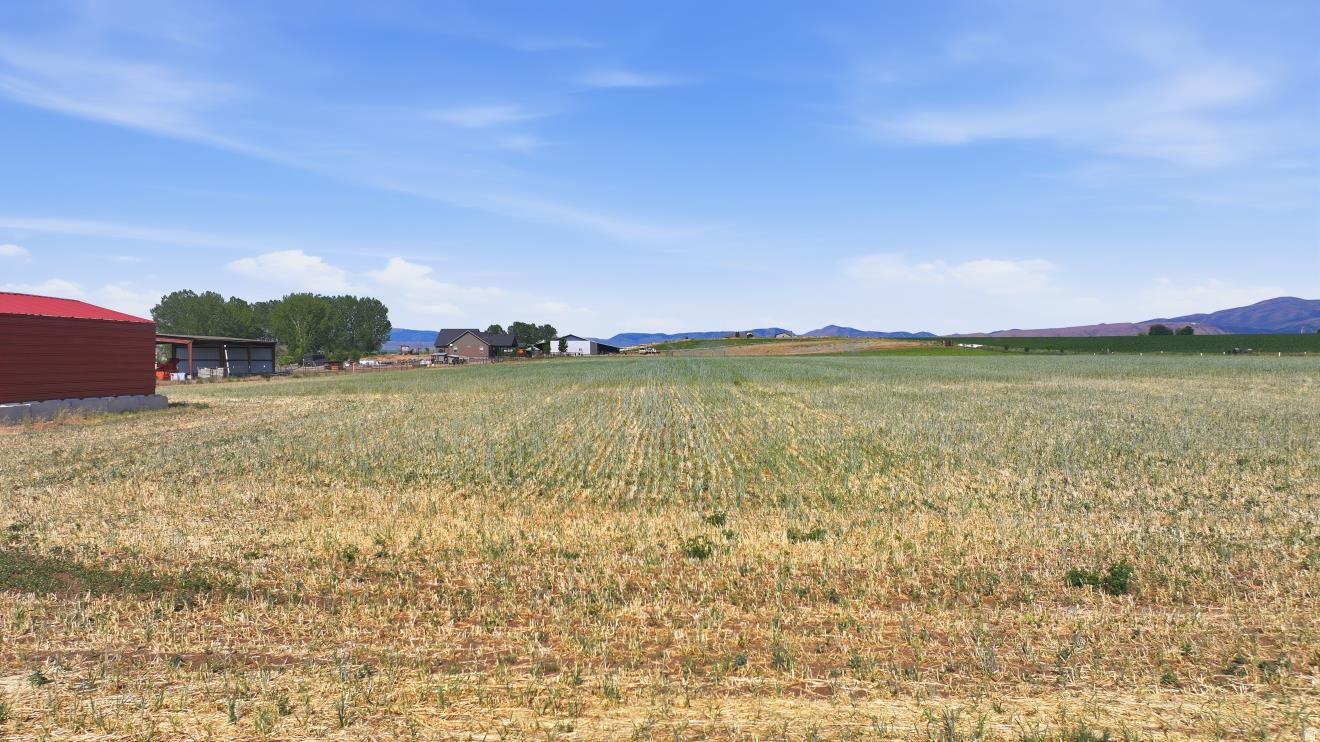 FOXTAIL ESTATES - Land