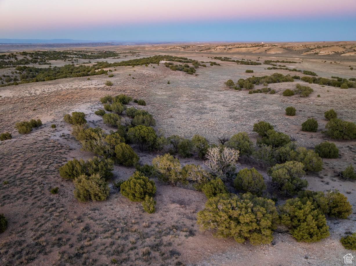 82.90 Acres just a few minutes from Duchesne.  Off grid and xeriscaped!  Just Mother Nature and a fresh palette!  Well and septic system available at Buyer's expense.  We can check on the proximity of power poles, but there is not a power pole on the property now.  Lots of space for anything you would like to do !  Miles and miles of back road adventure!  Near Fish and Game Land!  Resident deer and antelope herds.  Occasional elk!  Easy to find!  From highway 40, turn south at mile marker 90 on to County Road 29.  Once the pavement ends, continue east.  Once you cross the cattle guard, the road turns south.  The property will be on the west side of the road with a marker that reads "LOT 7"