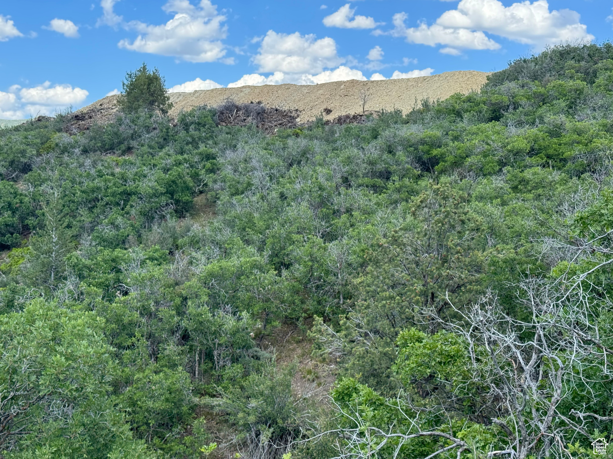 HIDEAWAY VALLEY - Land