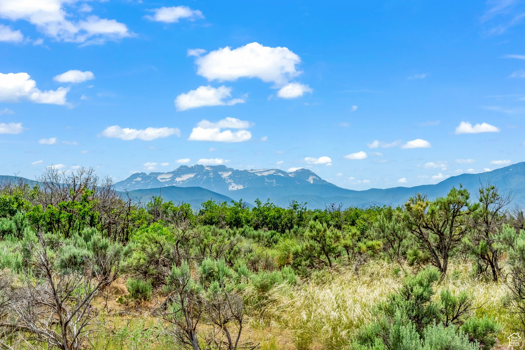 BLUE SAGE RANCH - Land