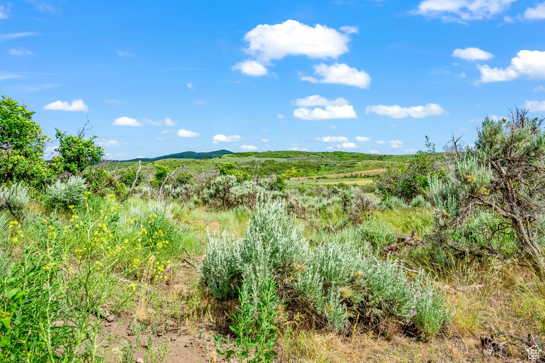BLUE SAGE RANCH - Land