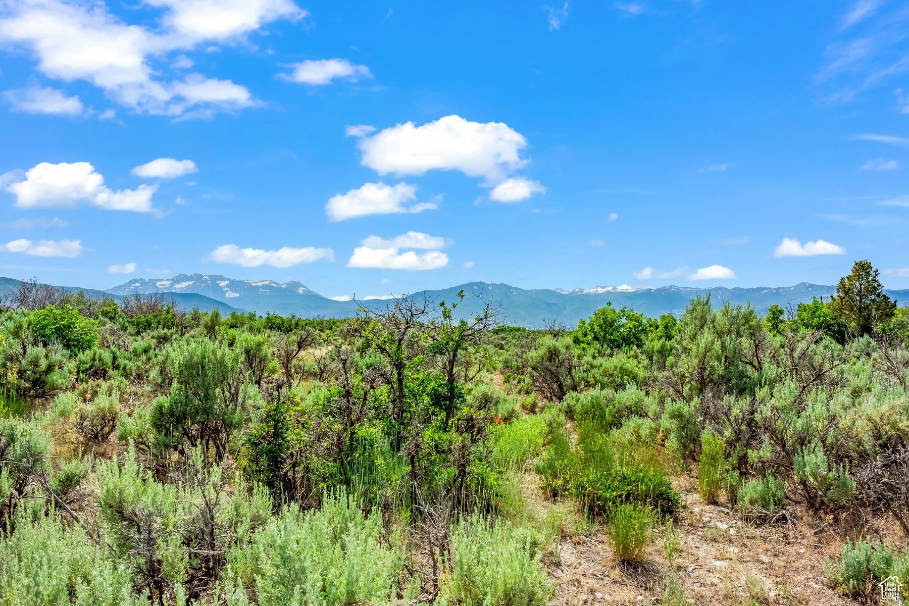BLUE SAGE RANCH - Land
