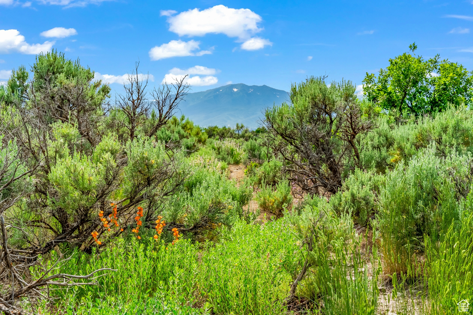BLUE SAGE RANCH - Land