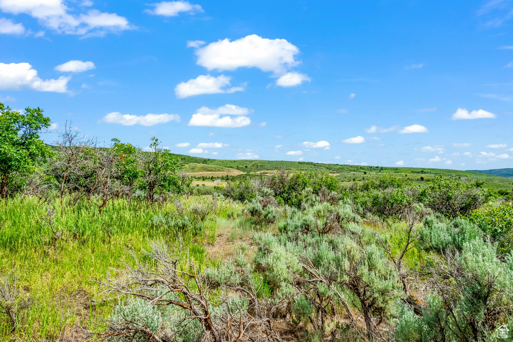 BLUE SAGE RANCH - Land