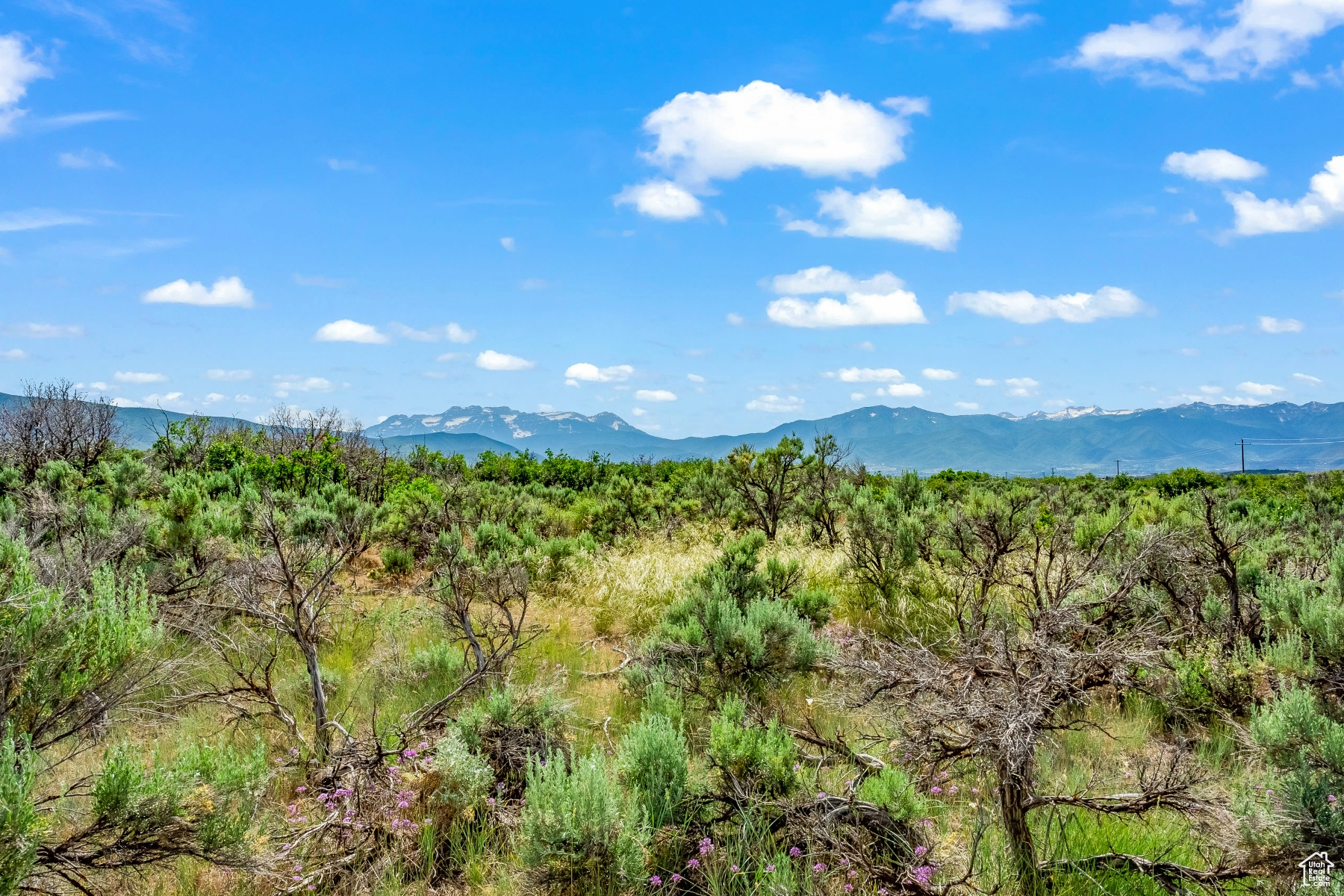 BLUE SAGE RANCH - Land