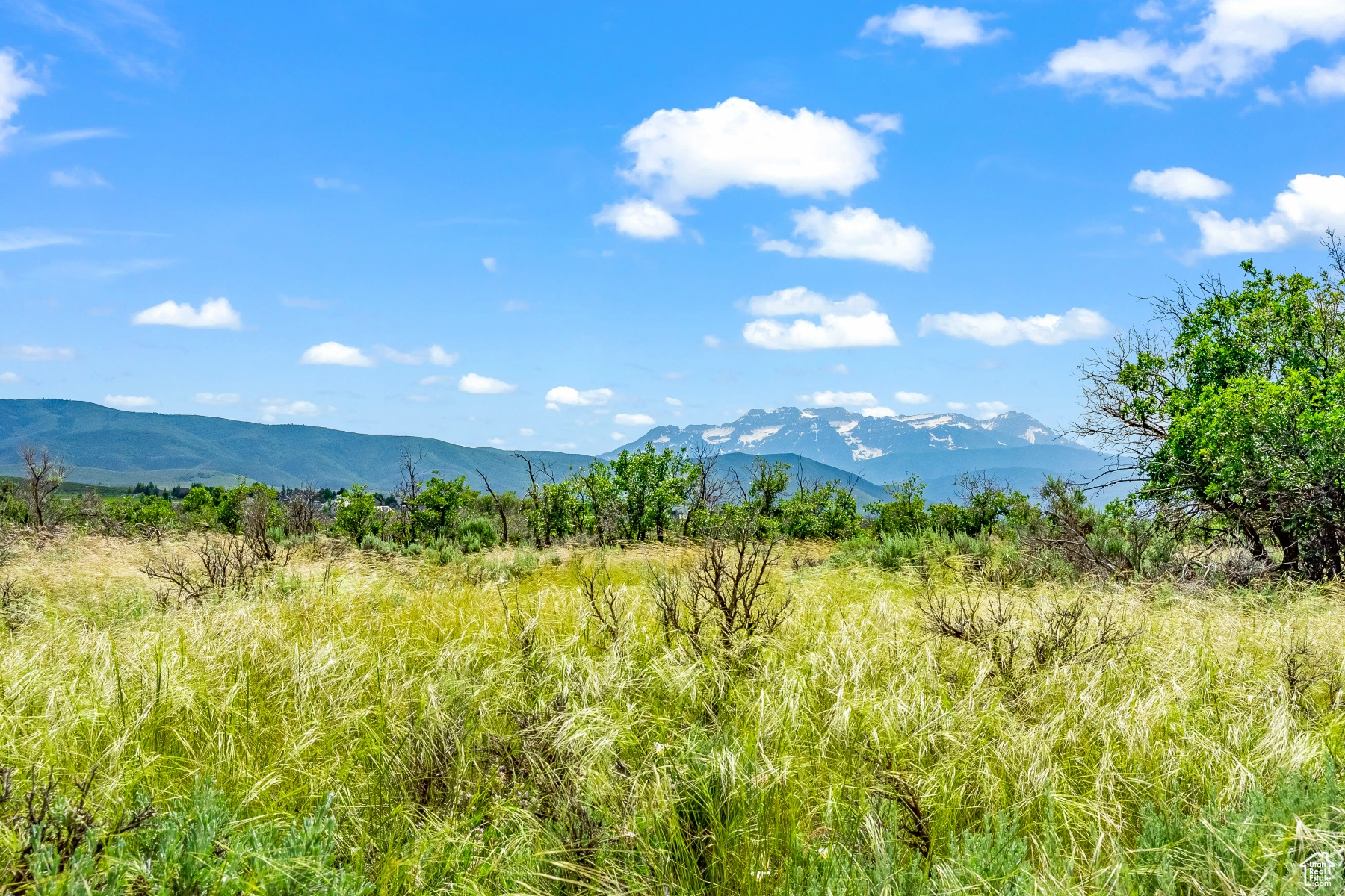 BLUE SAGE RANCH - Land