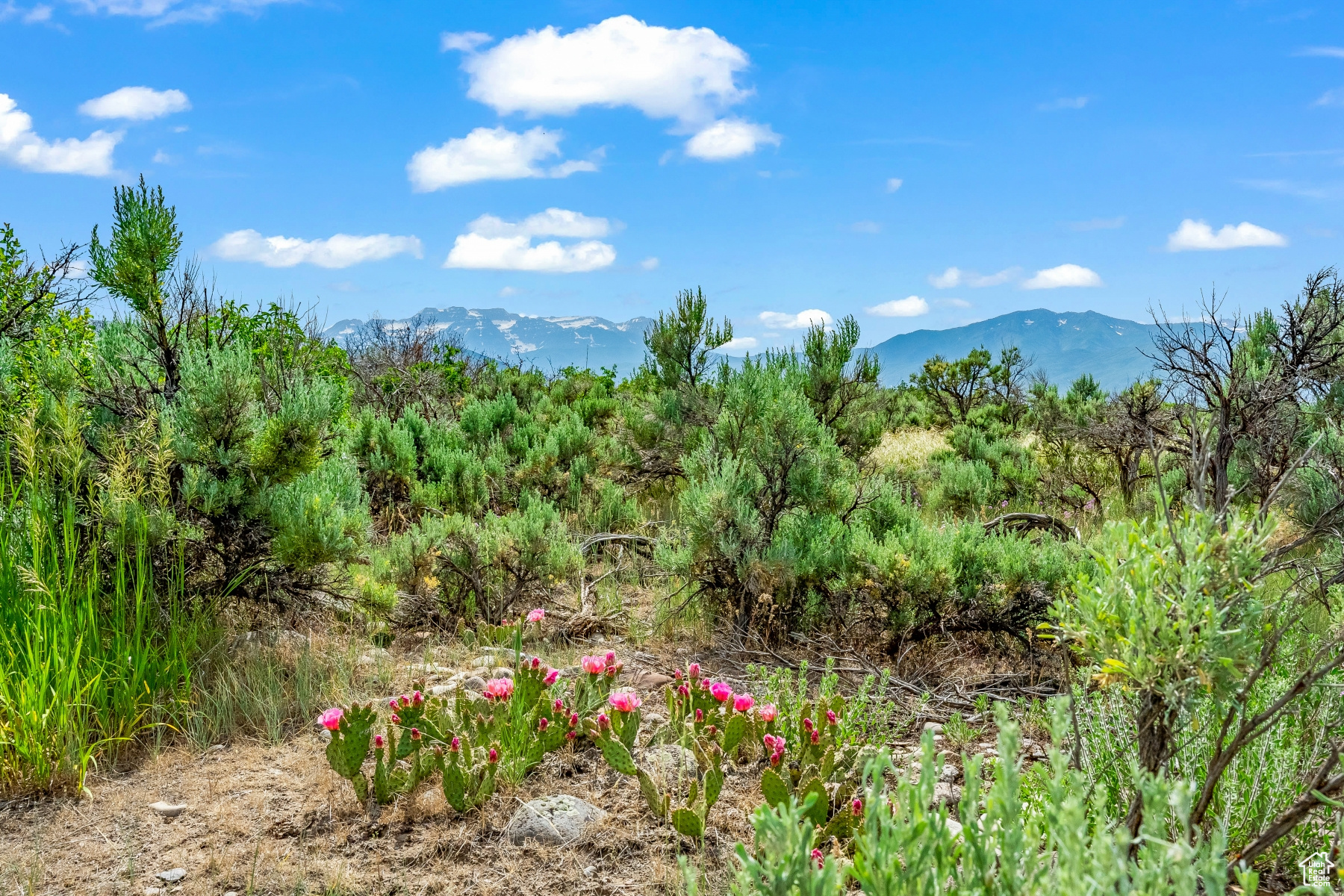 BLUE SAGE RANCH - Land