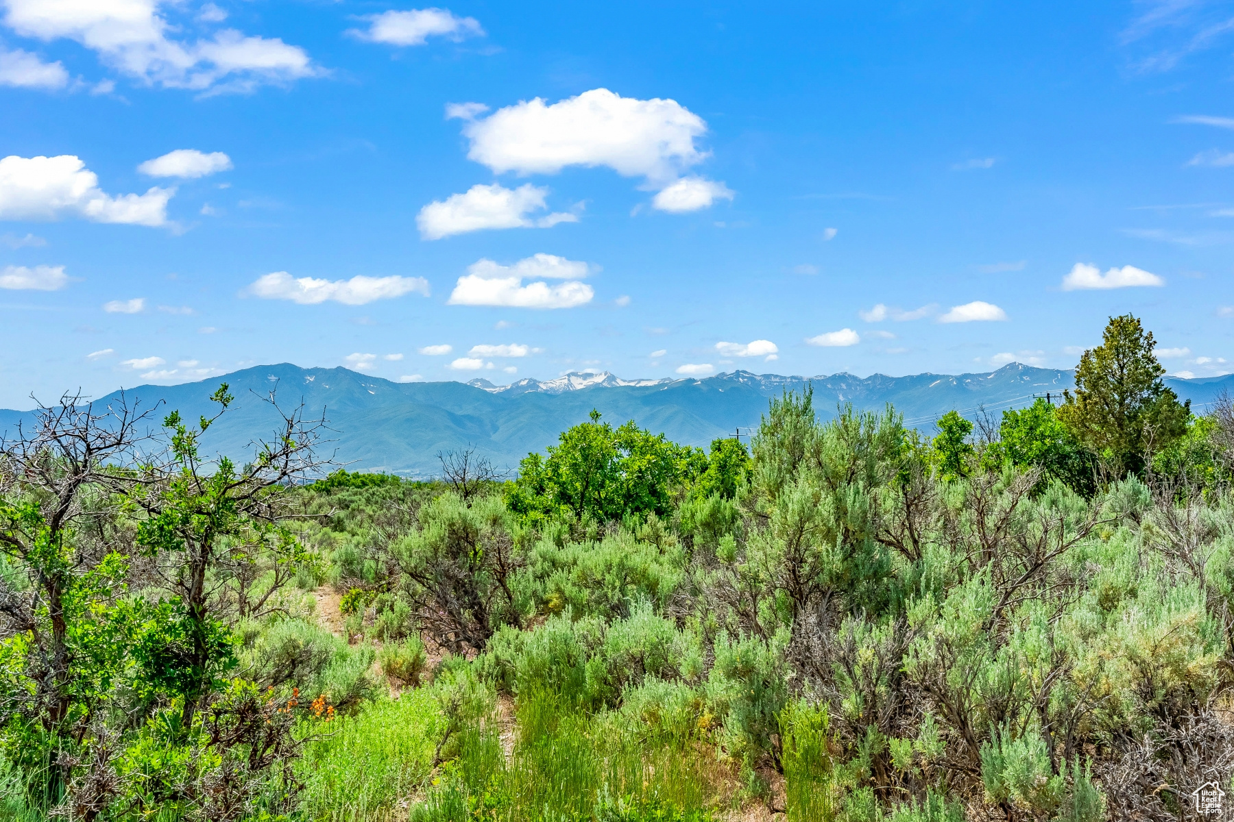 BLUE SAGE RANCH - Land