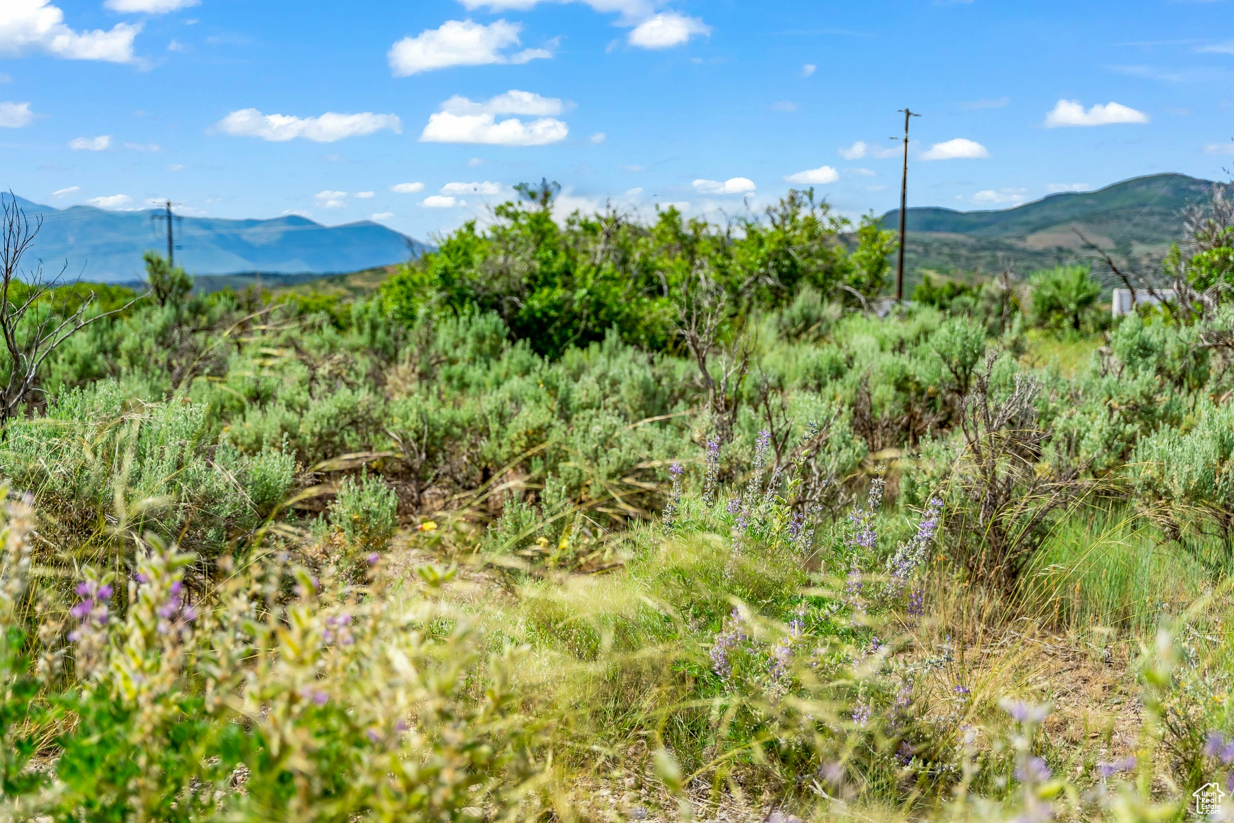 BLUE SAGE RANCH - Land