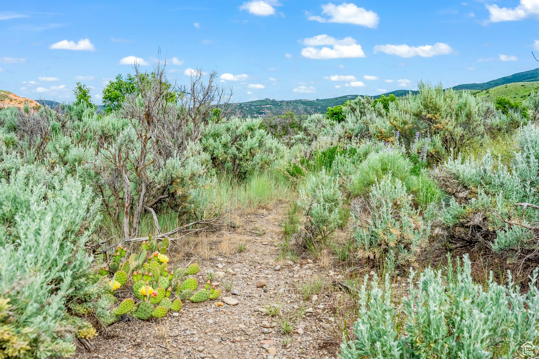 BLUE SAGE RANCH - Land