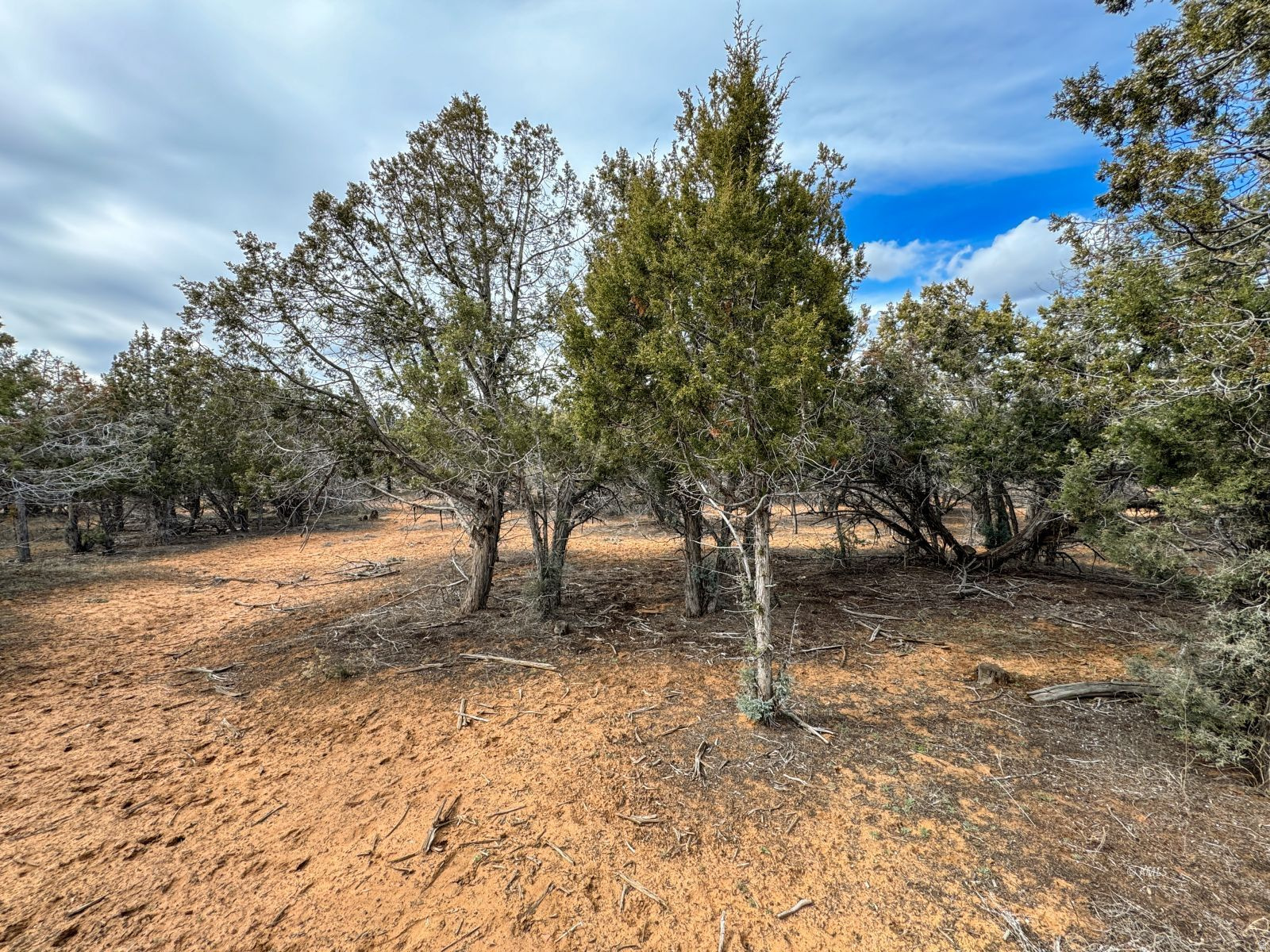 QUARTER CIRCLE H RANCH - Land