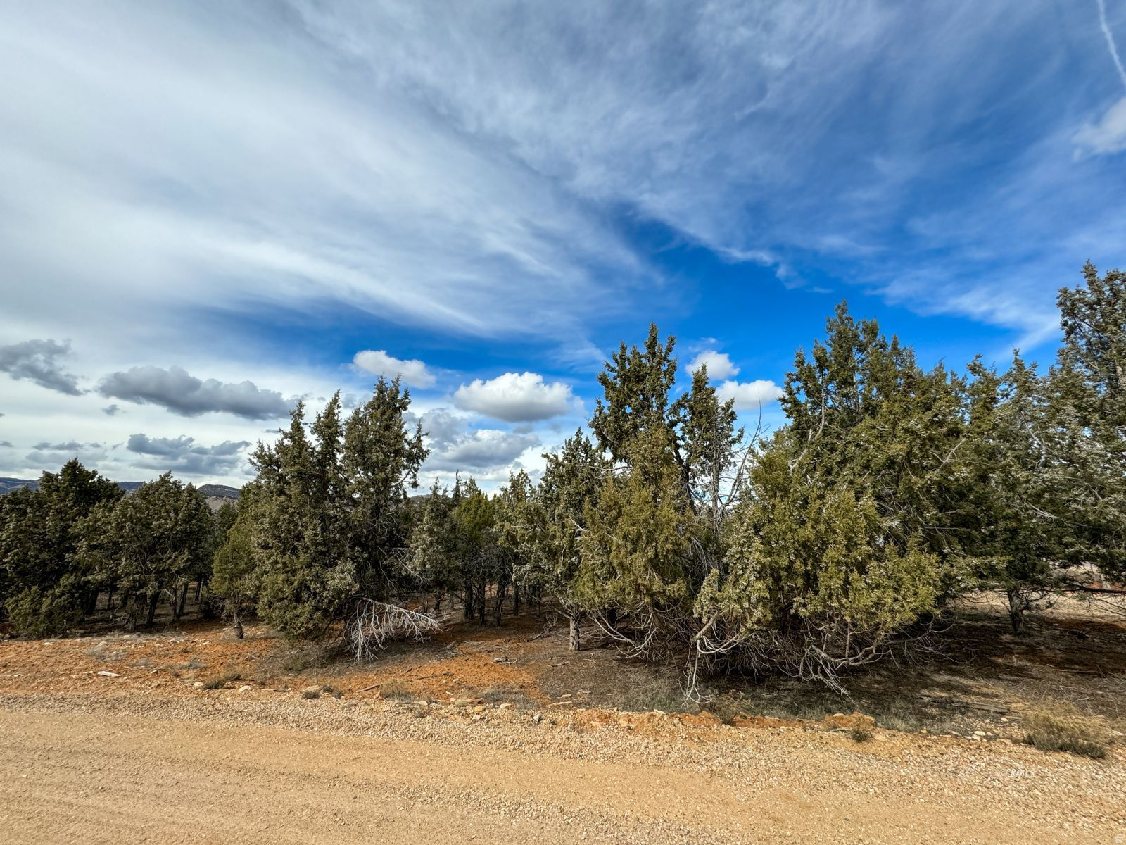 QUARTER CIRCLE H RANCH - Land