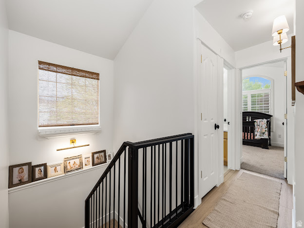 CAMBRIDGE FARMS - Residential