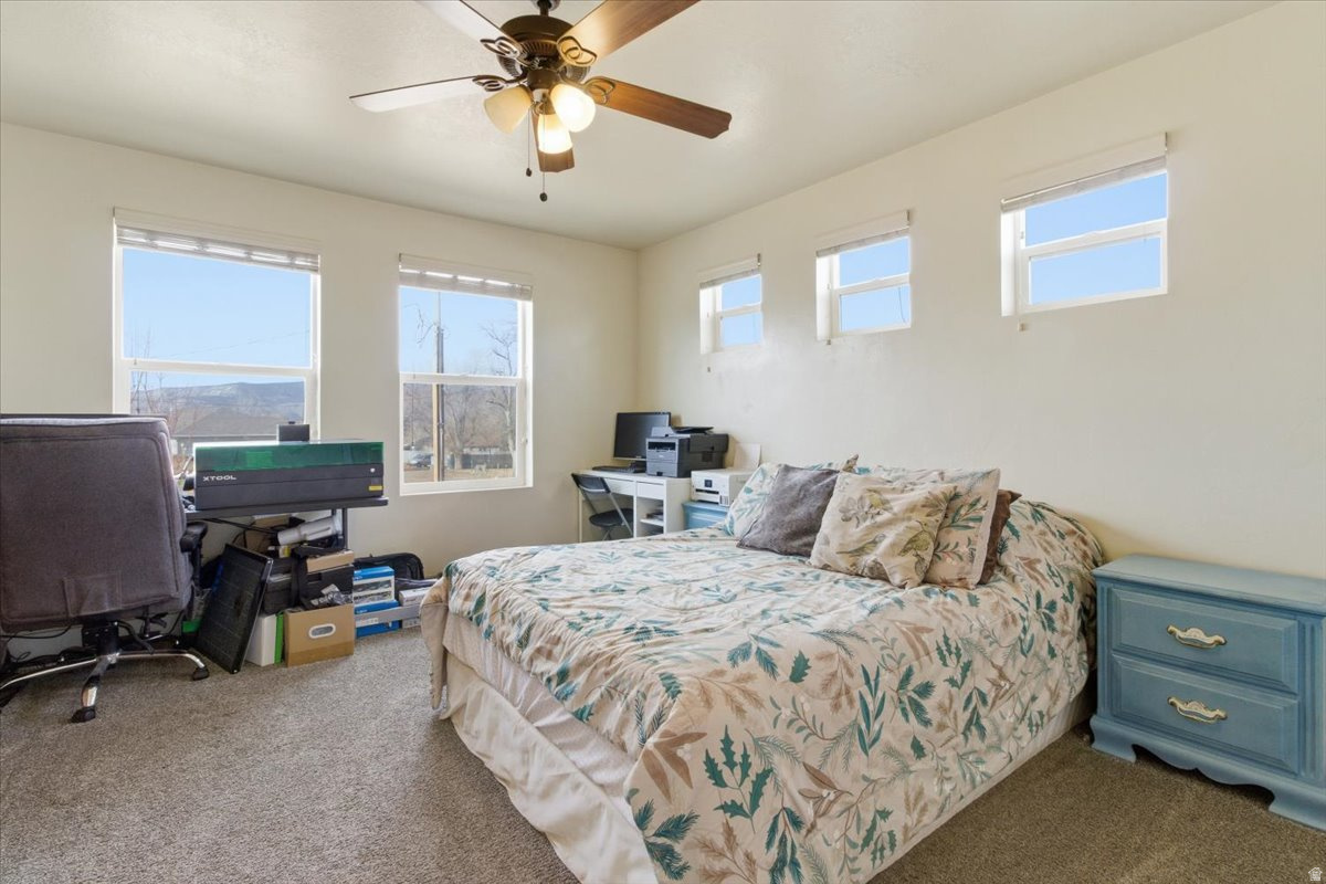 DAILEY MINOR - Residential