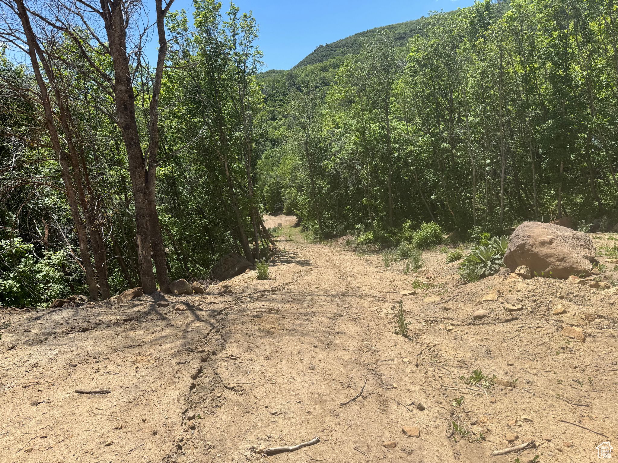 SKYLINE MTN - Land