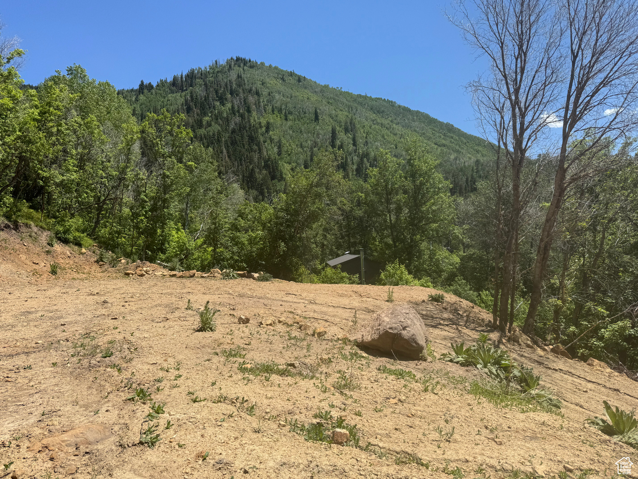 SKYLINE MTN - Land