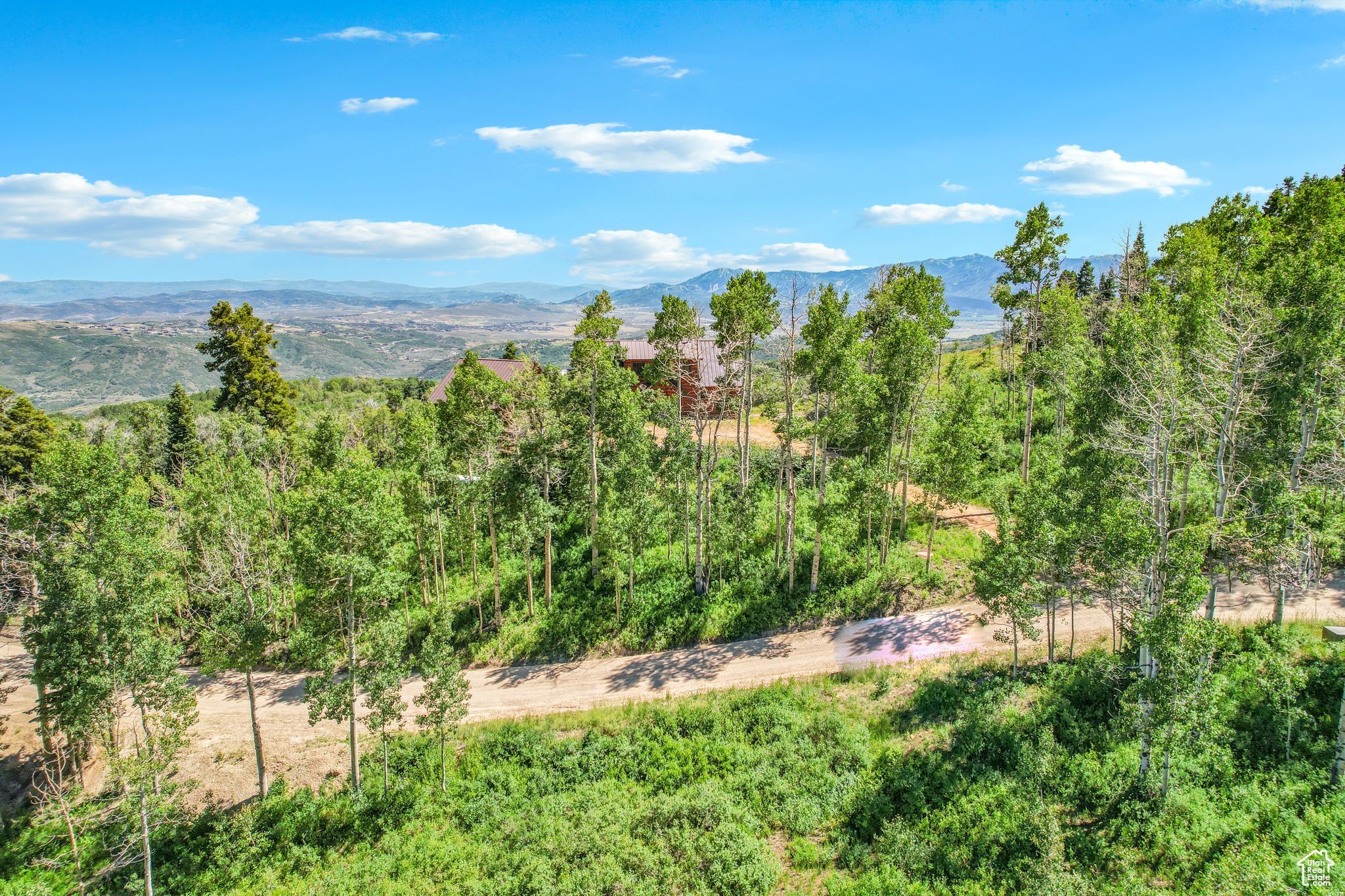 FOREST MEADOW RANCH - Land