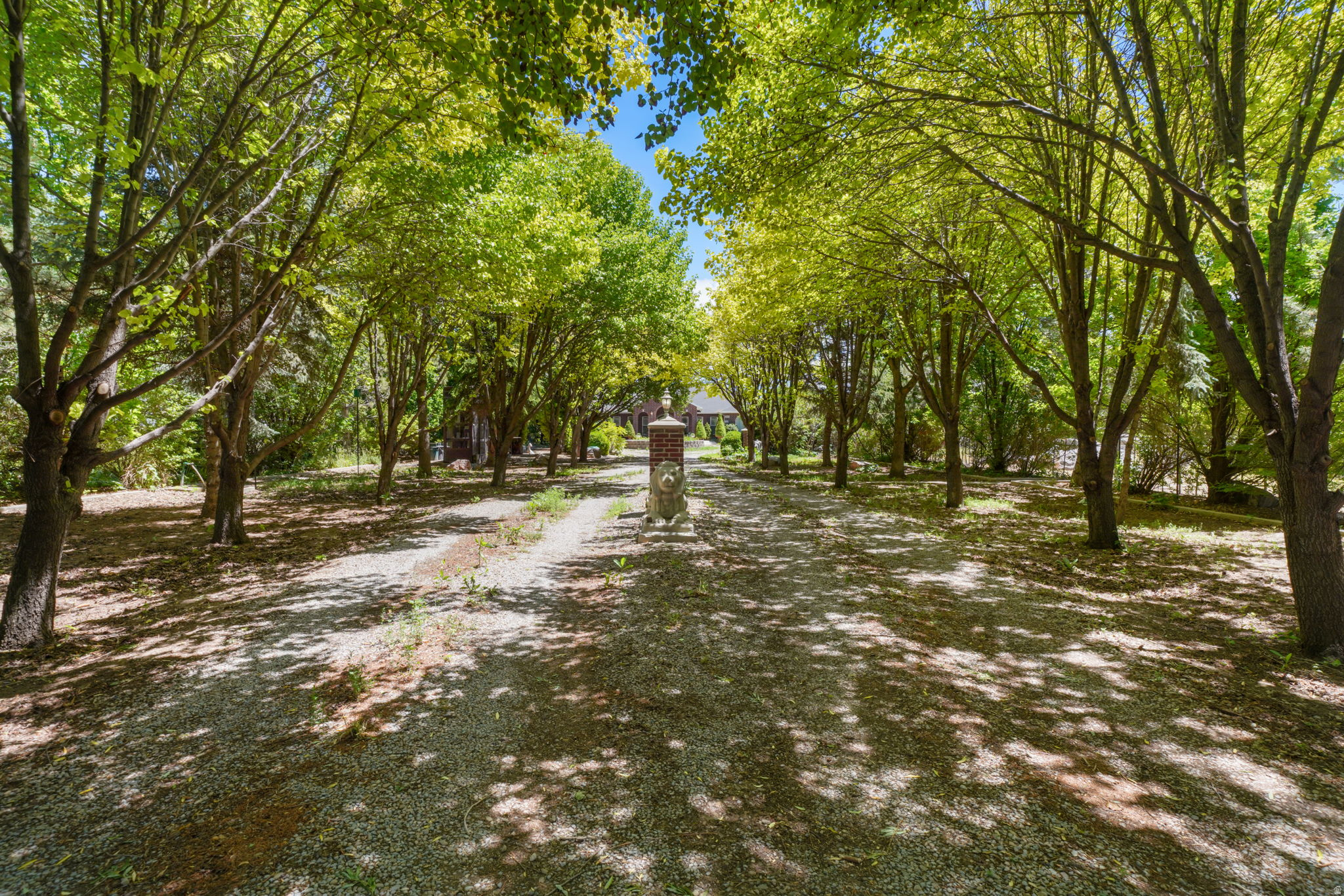 This STUNNING property boasts over 250 trees.  When you come down the tree lined lane toward the home you are greeted by a cement Lion.  Then on to the circular driveway with a swan water feature in the middle of the circle.  When you first walk into the home you are greeted with high vaulted ceilings giving the home a VERY SPATIOUS feel. This executive mansion has a foyer lined by a dining room and a formal living room.  The left side of the home has the primary bedroom and a massive bathroom.  From the primary bedroom the den/office space is perfect for the person who works from home and is big enough to house a full staff of workers!  The back of the home has an incredible great room for huge family gatherings.  On the right side of the home is the second primary bedroom with bathroom.  There are also two more bedrooms and a laundry room.  The home is on a septic system and has its own well.  With over five acres of ground, you had the benefit of horse property or just a buffer from the outside world.  This home has to be experienced rather than just viewed.  Water rights included with home: .9376ACFT for domestic use included.  5.6 ACFT of Strawberry Water Users/Lake Shore Irrigation are negotiable. Home appraised for $1,330.00 in November 2025.