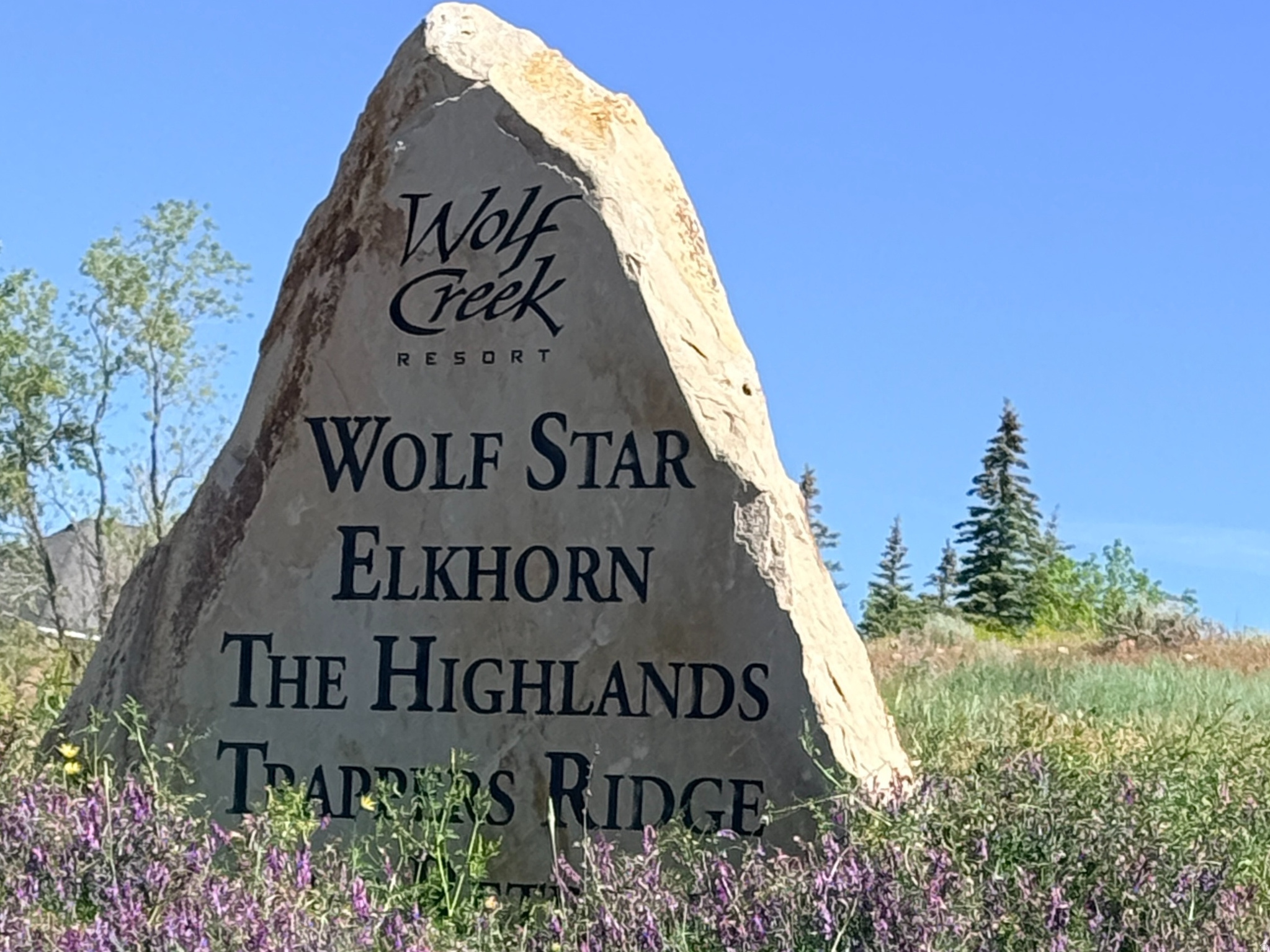 WOLF STAR - Residential