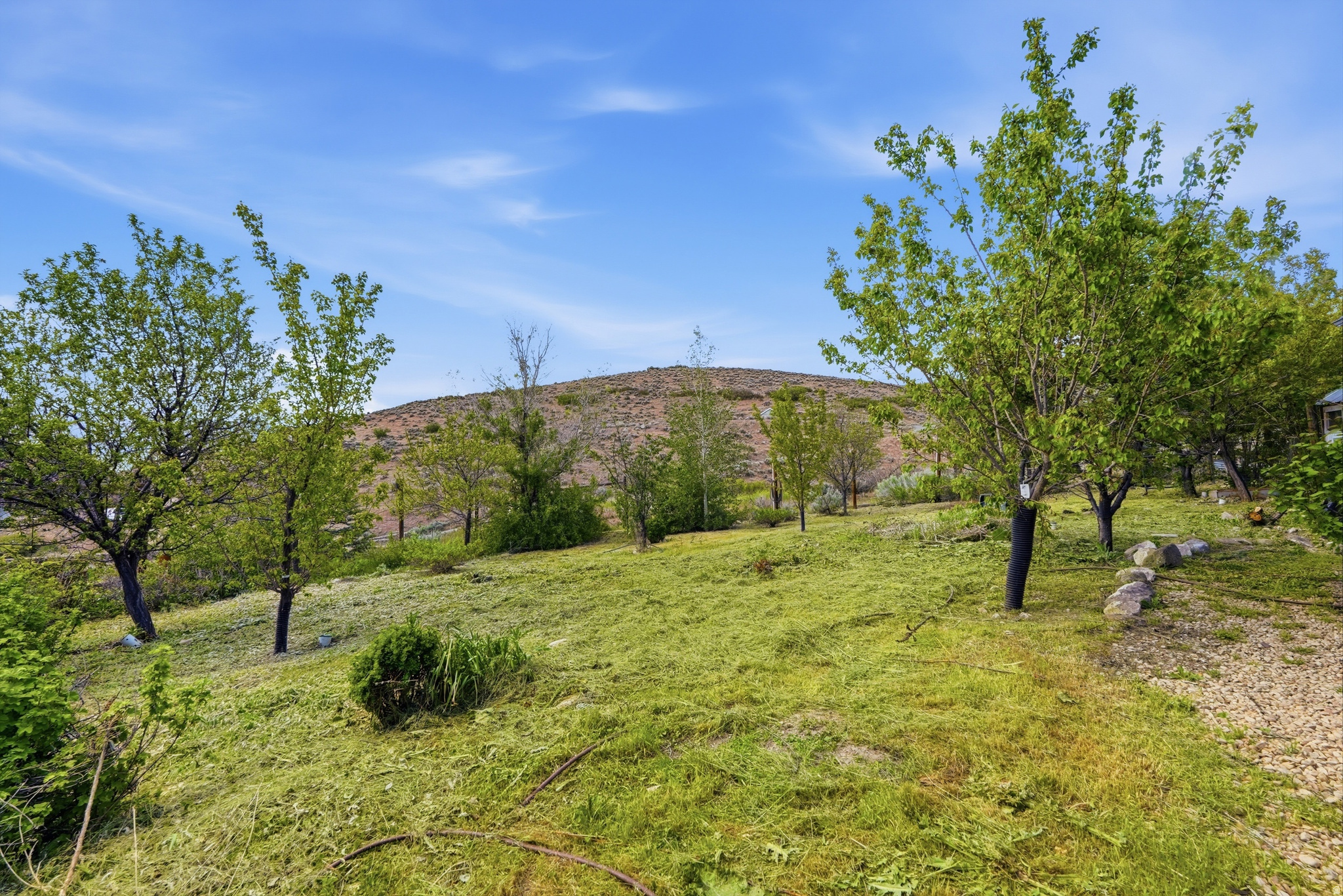 WASATCH VIEW ACRES - Residential