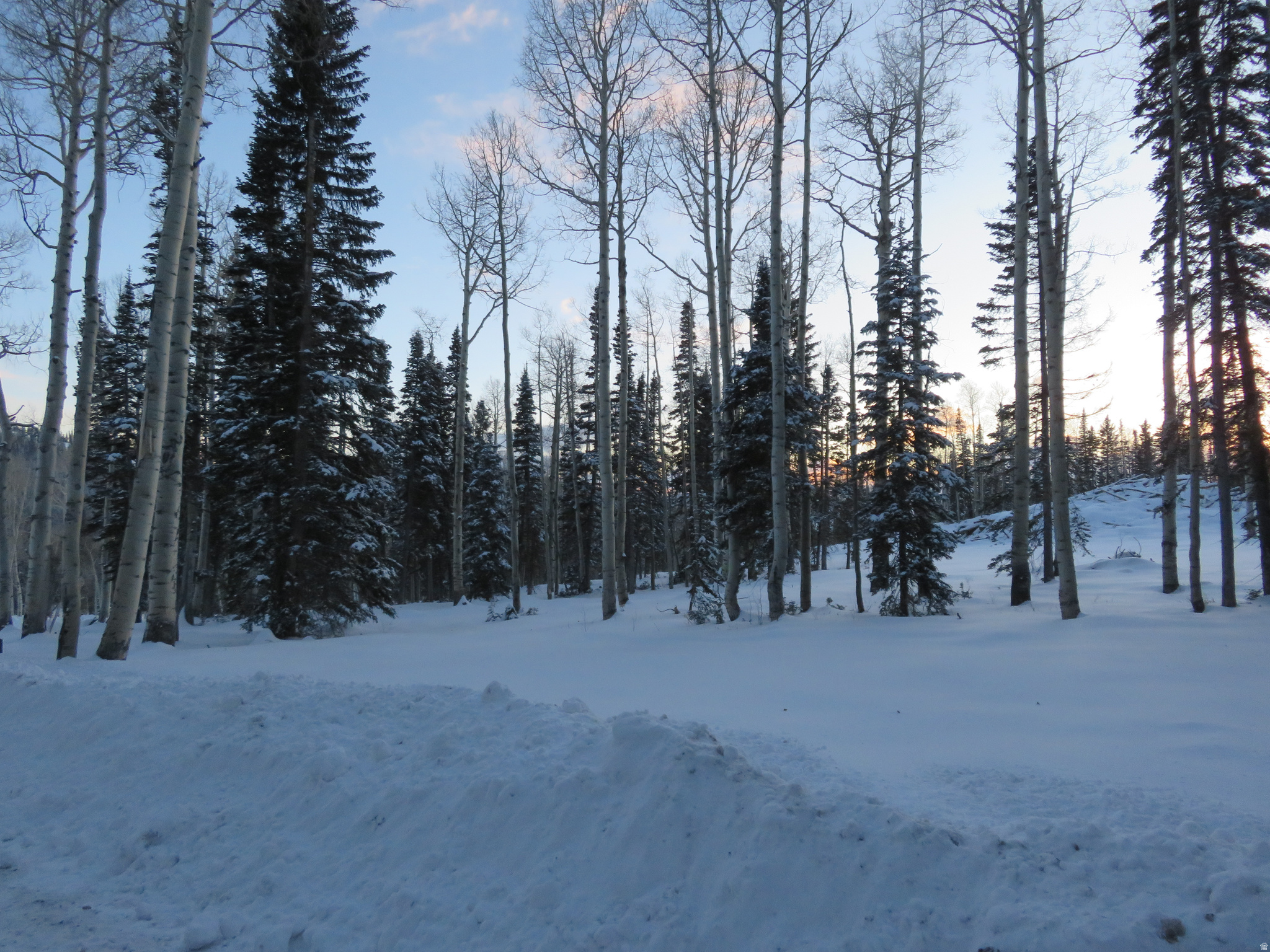 TUSHAR MOUNTAIN - Land