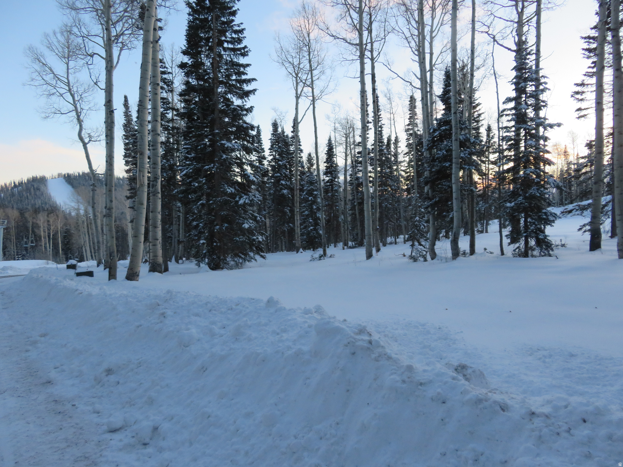 TUSHAR MOUNTAIN - Land