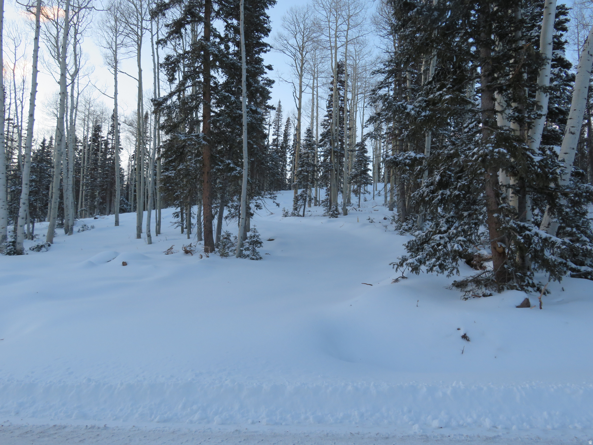 TUSHAR MOUNTAIN - Land