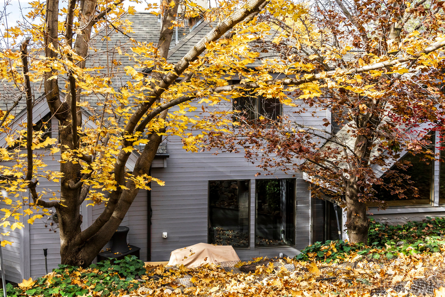 COVE MT OLYMPUS - Residential