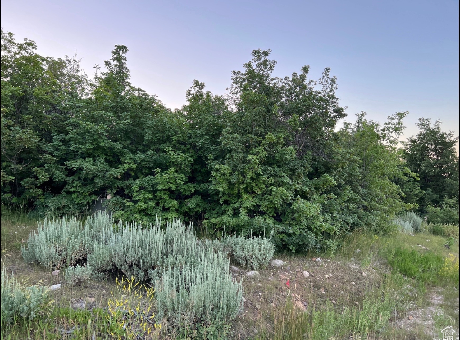 Beautiful building lot in Bear Lake West with TREES!! Not many lots in Bear Lake have trees, but this one has a lot!!  Enjoy year round access, full lake views, direct access to the trails for year round recreation including  ATV and Snowmobiling trails, and Bear Lake West amenities.  Amenities include private Lake access, swimming pool , hot tub, tennis/pickleball courts, and member discounts at the golf course. This is a nice lot to build your DREAM HOME!!