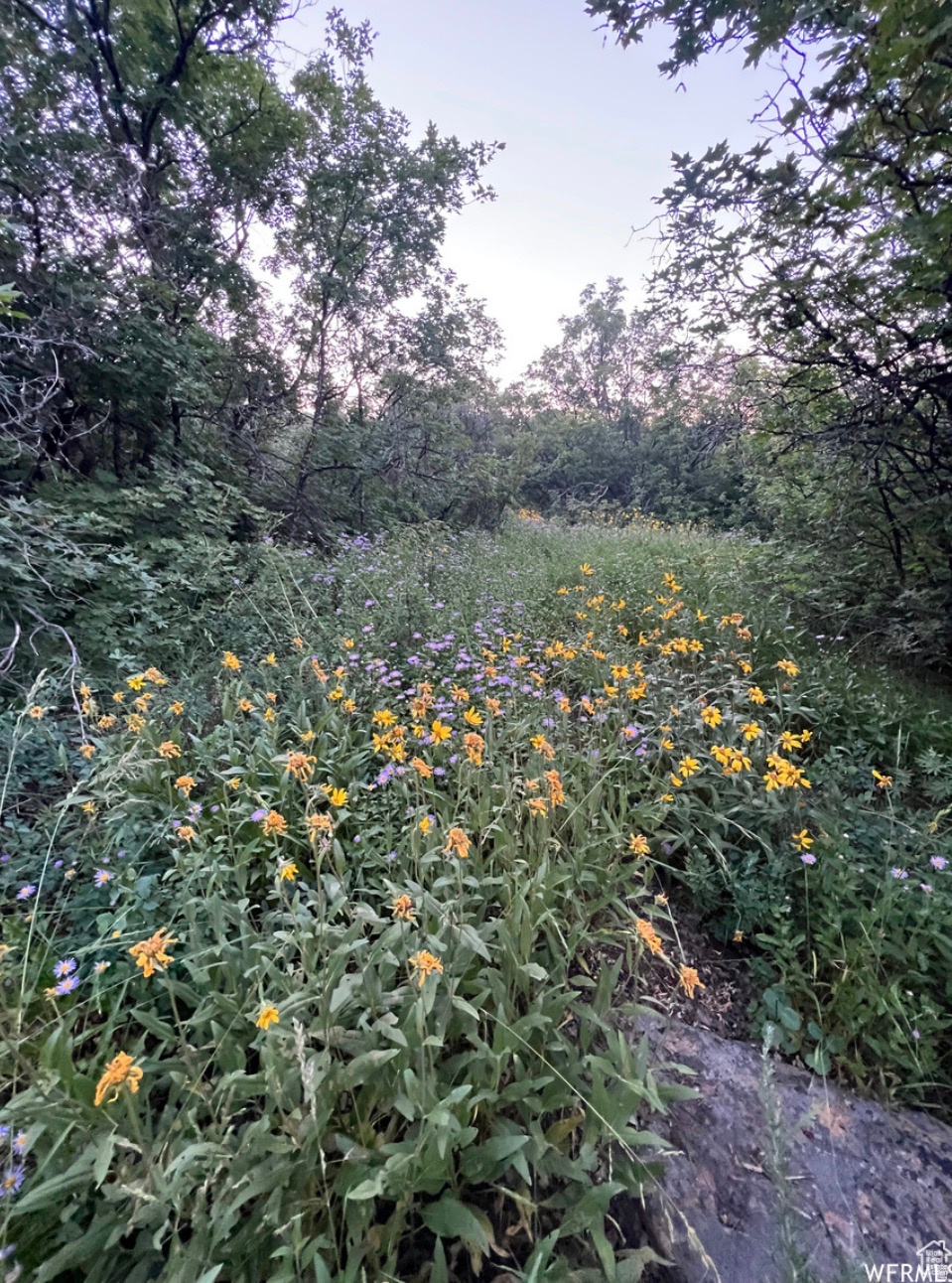 BEAR LAKE WEST C - Land