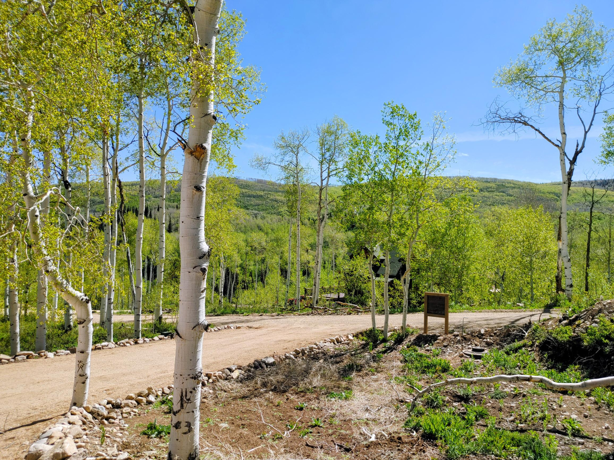 TIMBER LAKES - Residential