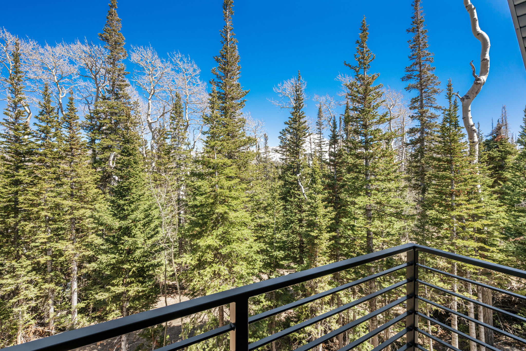 TRAILS AT NAVAJO SUBDIVISION - Residential