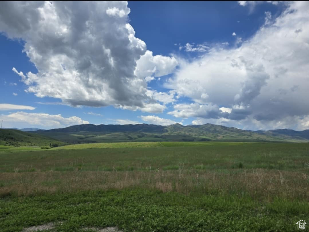 COUNTRY ESTATES - Land