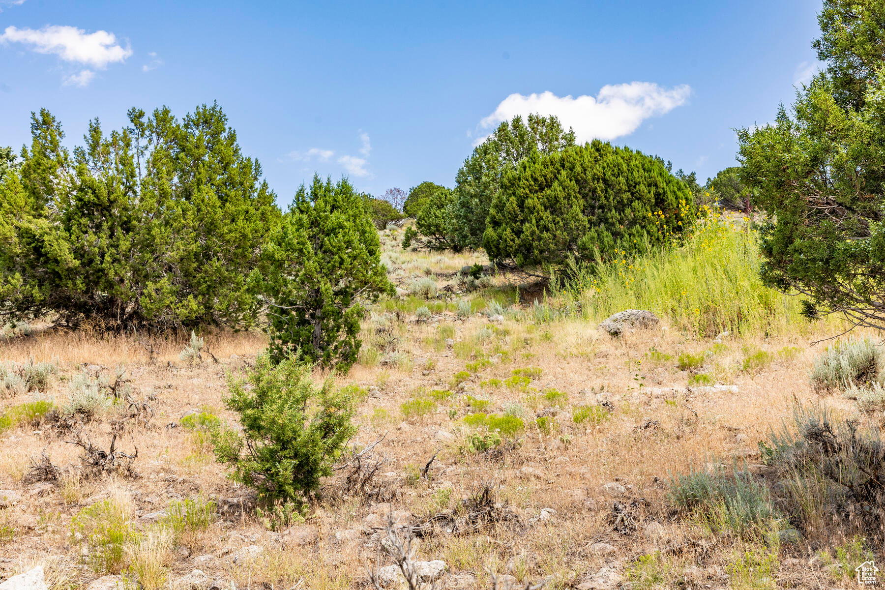 RED LEDGES - Residential