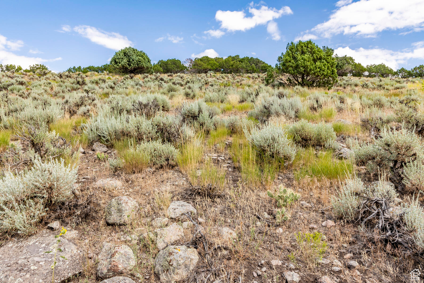RED LEDGES - Residential