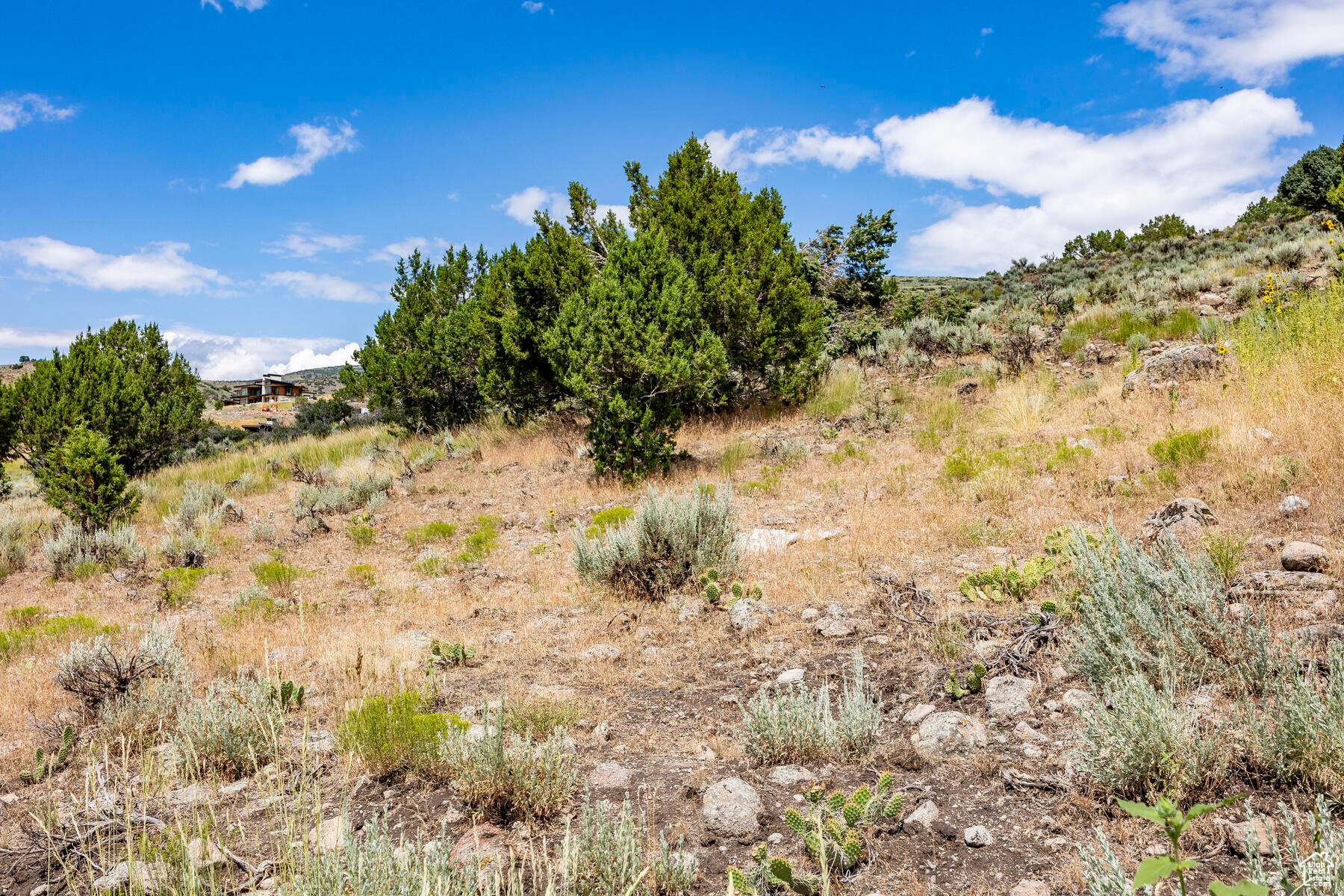 RED LEDGES - Residential