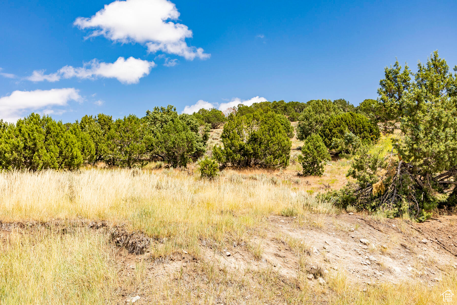 RED LEDGES - Residential