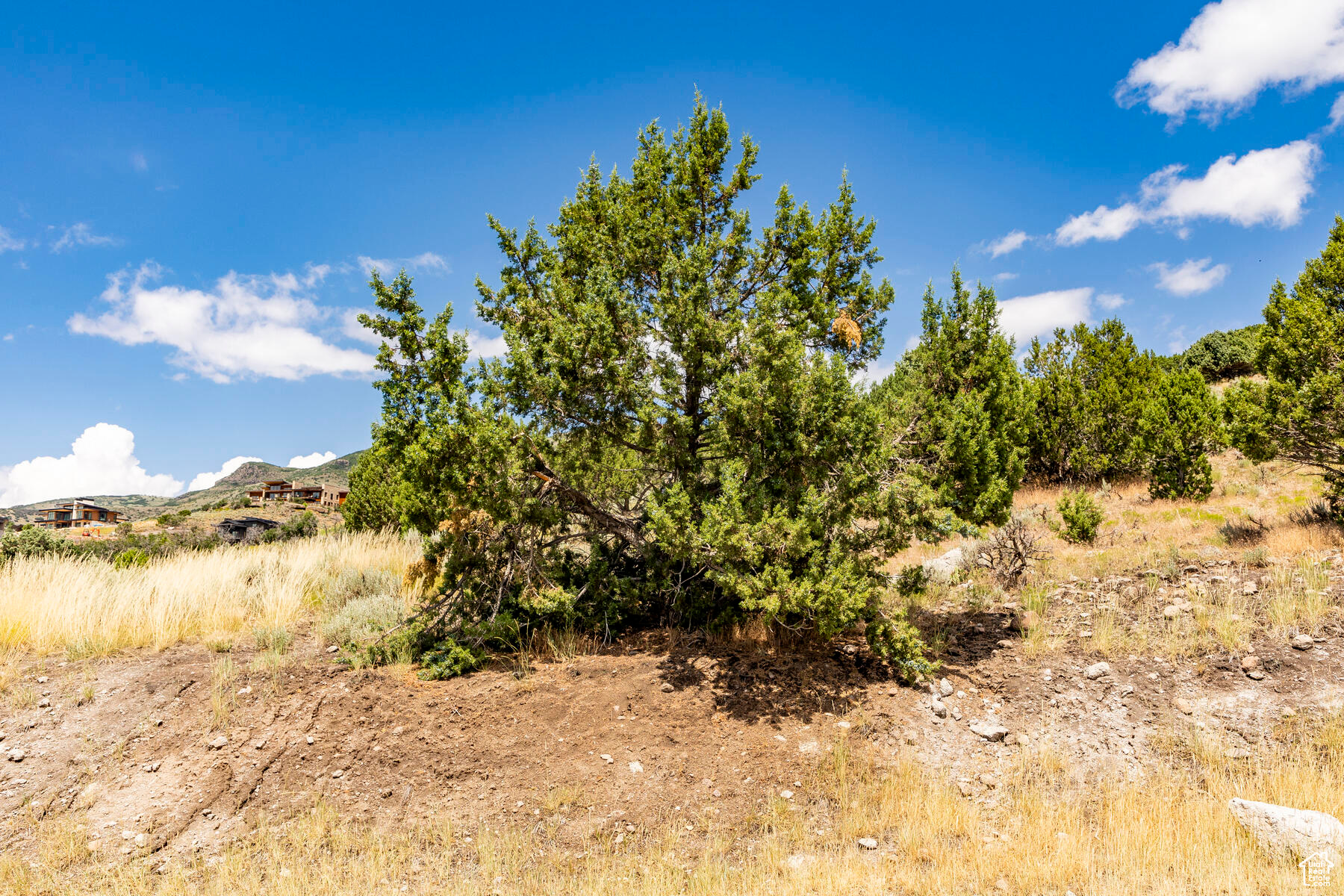 RED LEDGES - Residential