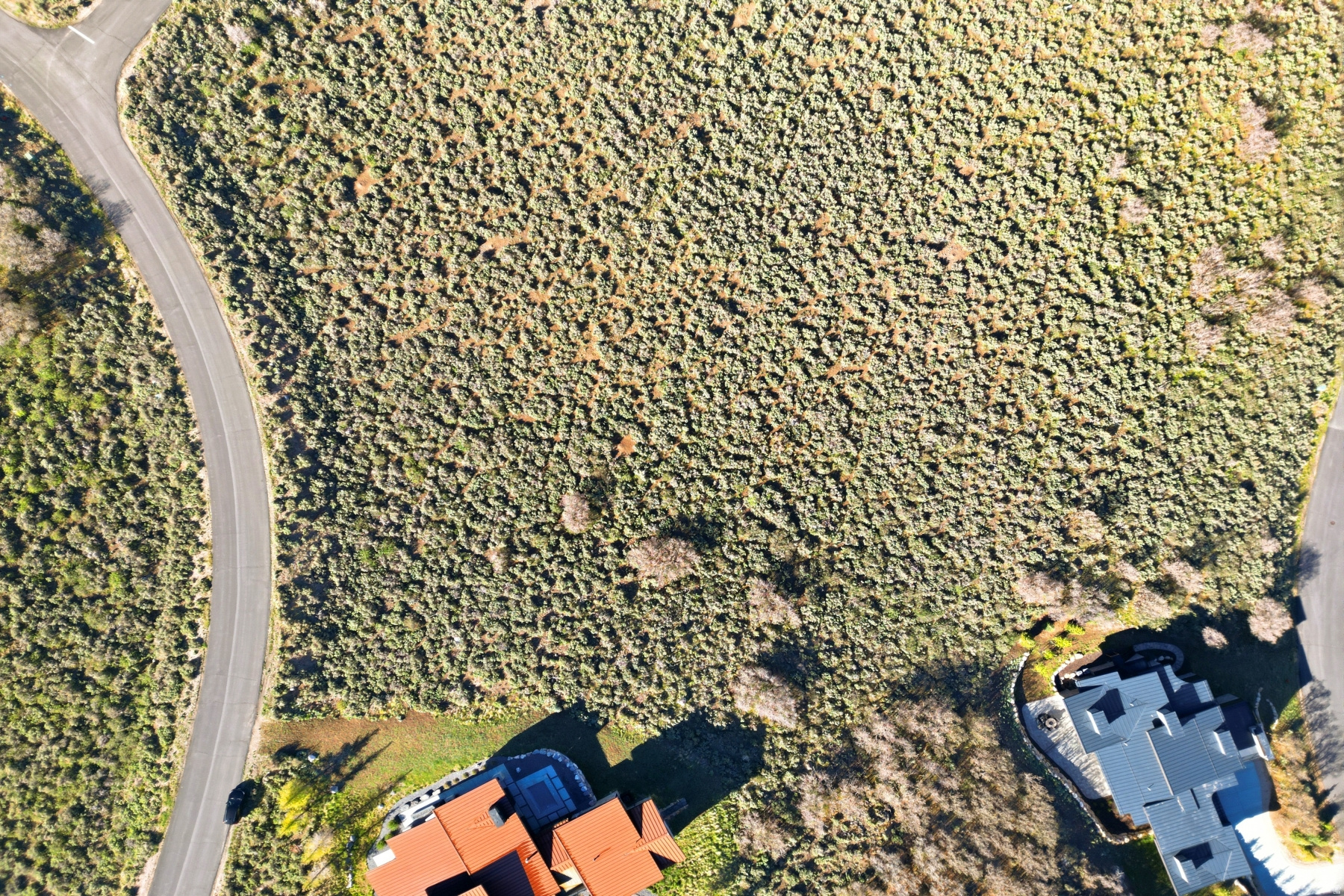 NORTHGATE CANYON - Land
