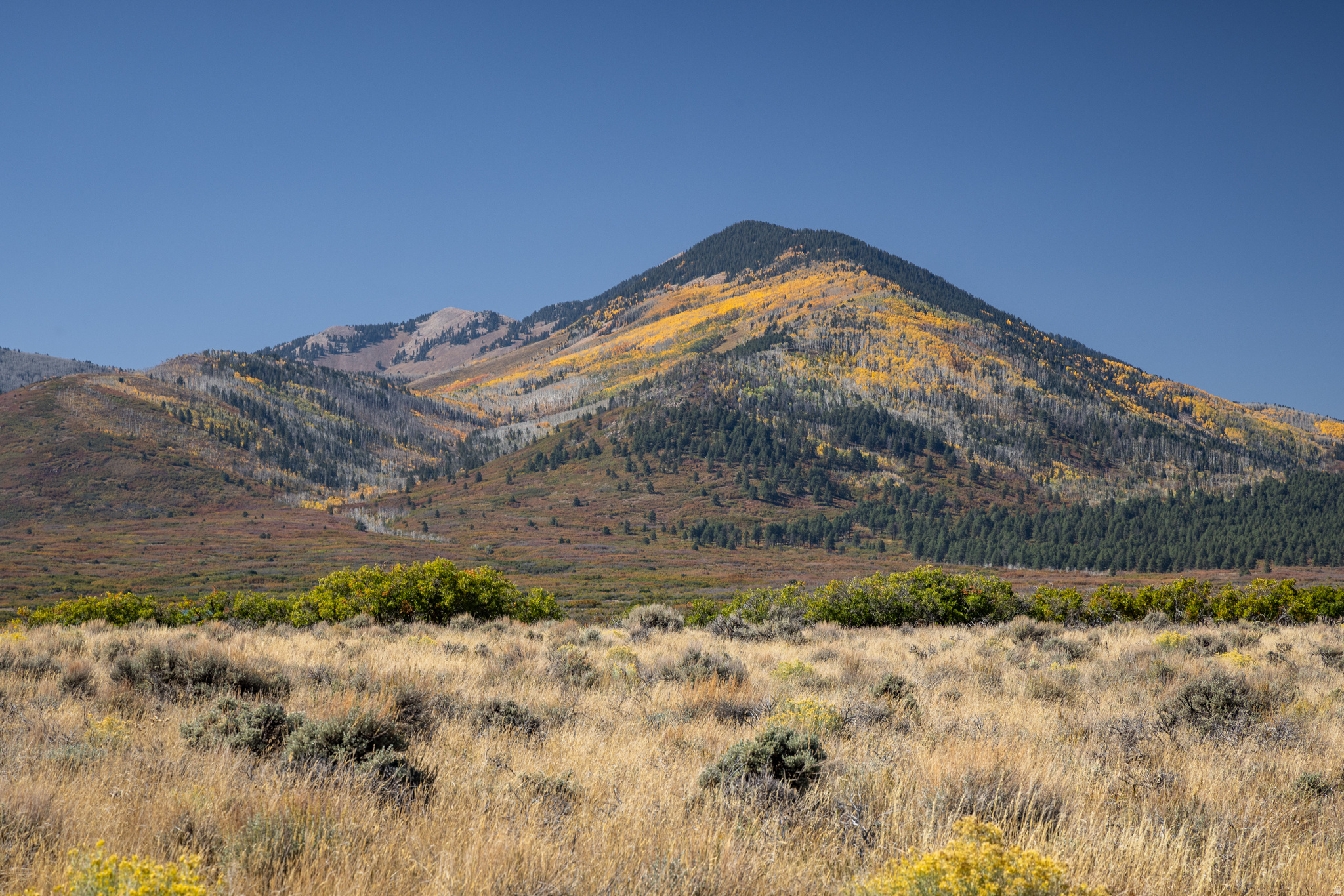MOUNTAIN HOMES - Land