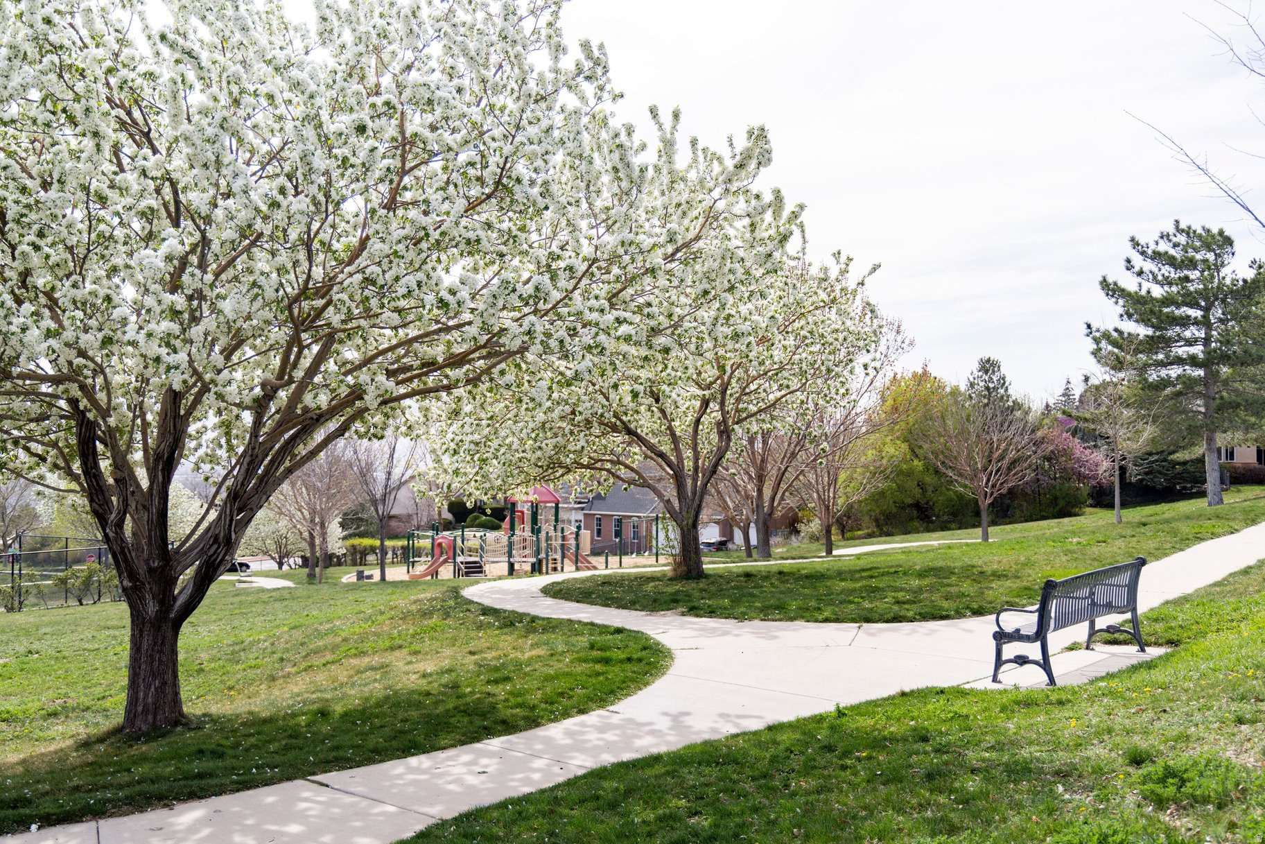 ENSIGN DOWNS - Residential
