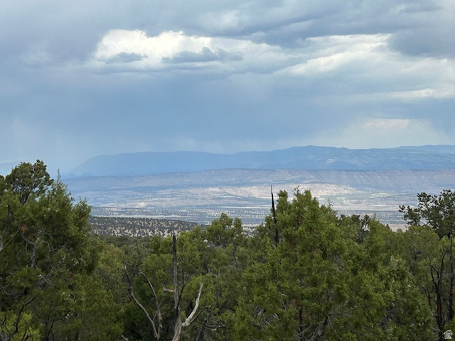 160 acres of Private hunting land. Its approx. 13 miles south of Hwy 40 and Starvation Reservoir, adjoining thousands of acres of public land. Sits near the top of the mountain, with amazing views of the Uintah Basin below. Covered with thick pinion-pines and juniper trees. This is a very secluded area, with bear, mountain lions, bobcats, deer and elk. There are no utilities and access is seasonal.