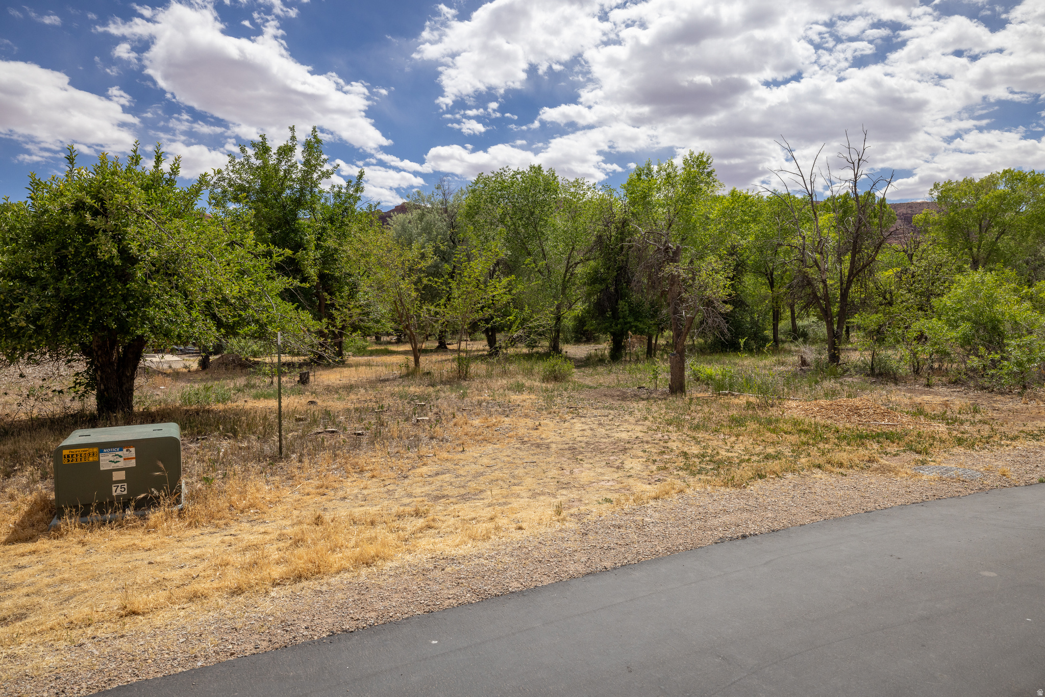 MULBERRY GROVE - Land