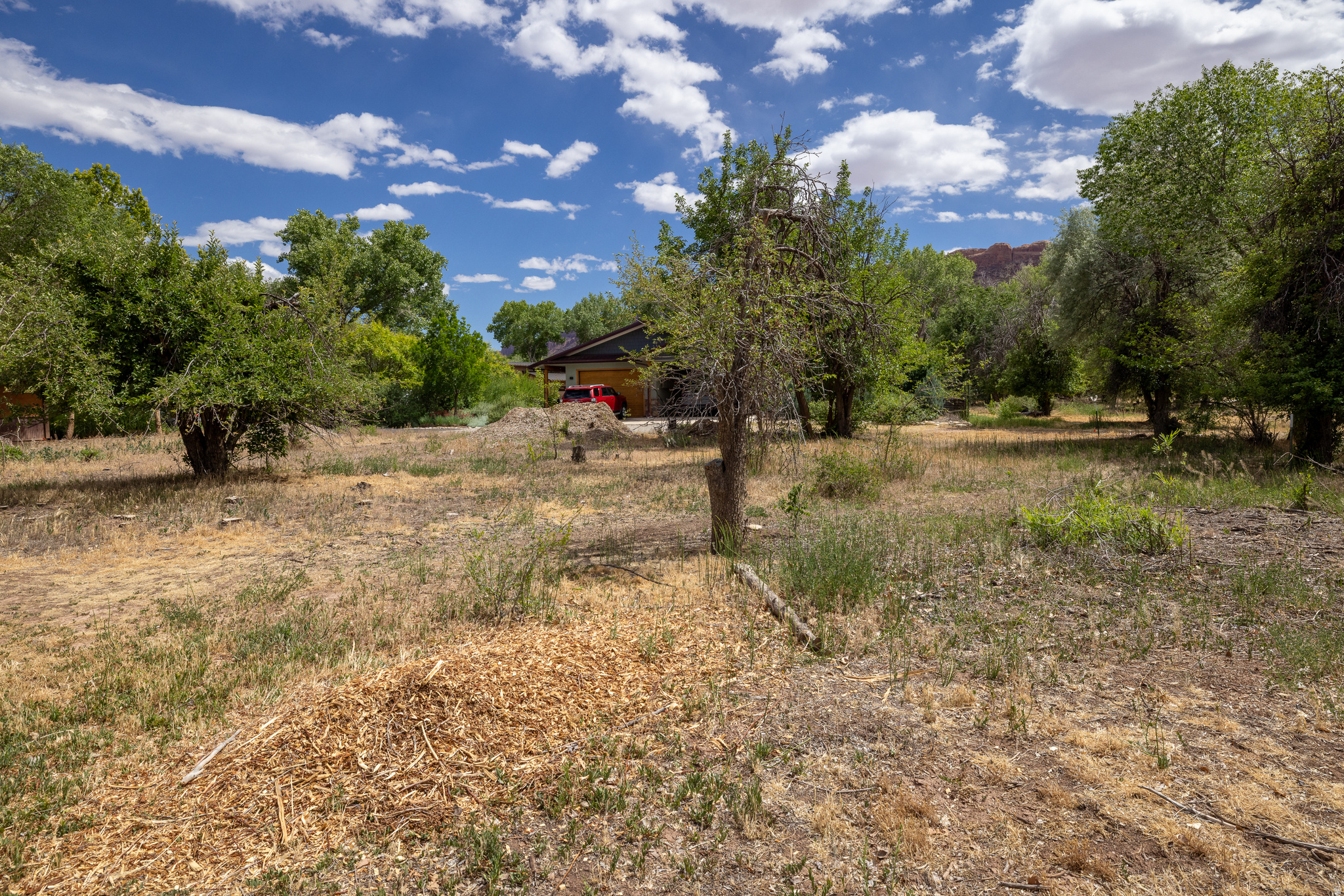 MULBERRY GROVE - Land