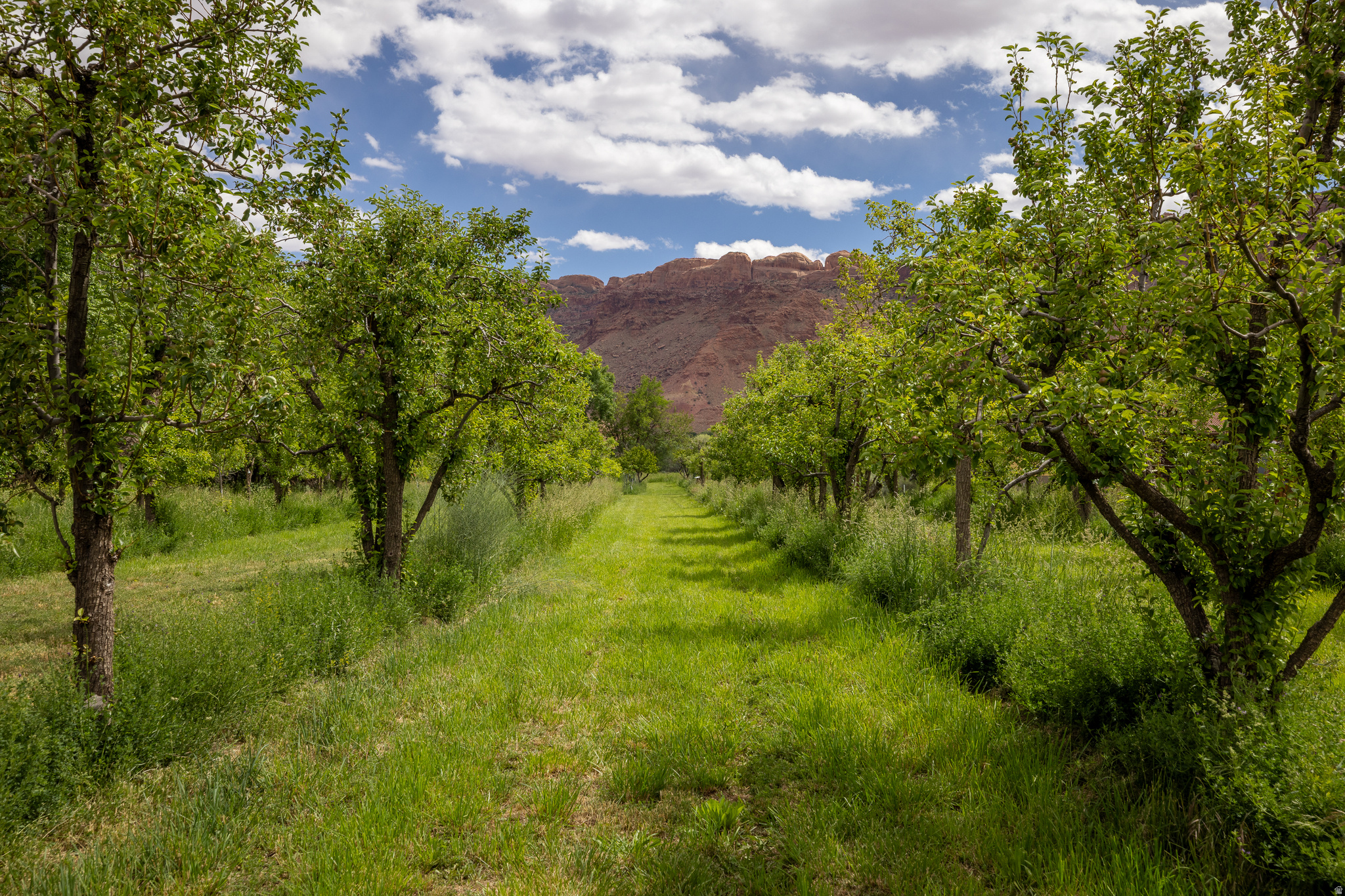 MULBERRY GROVE - Land