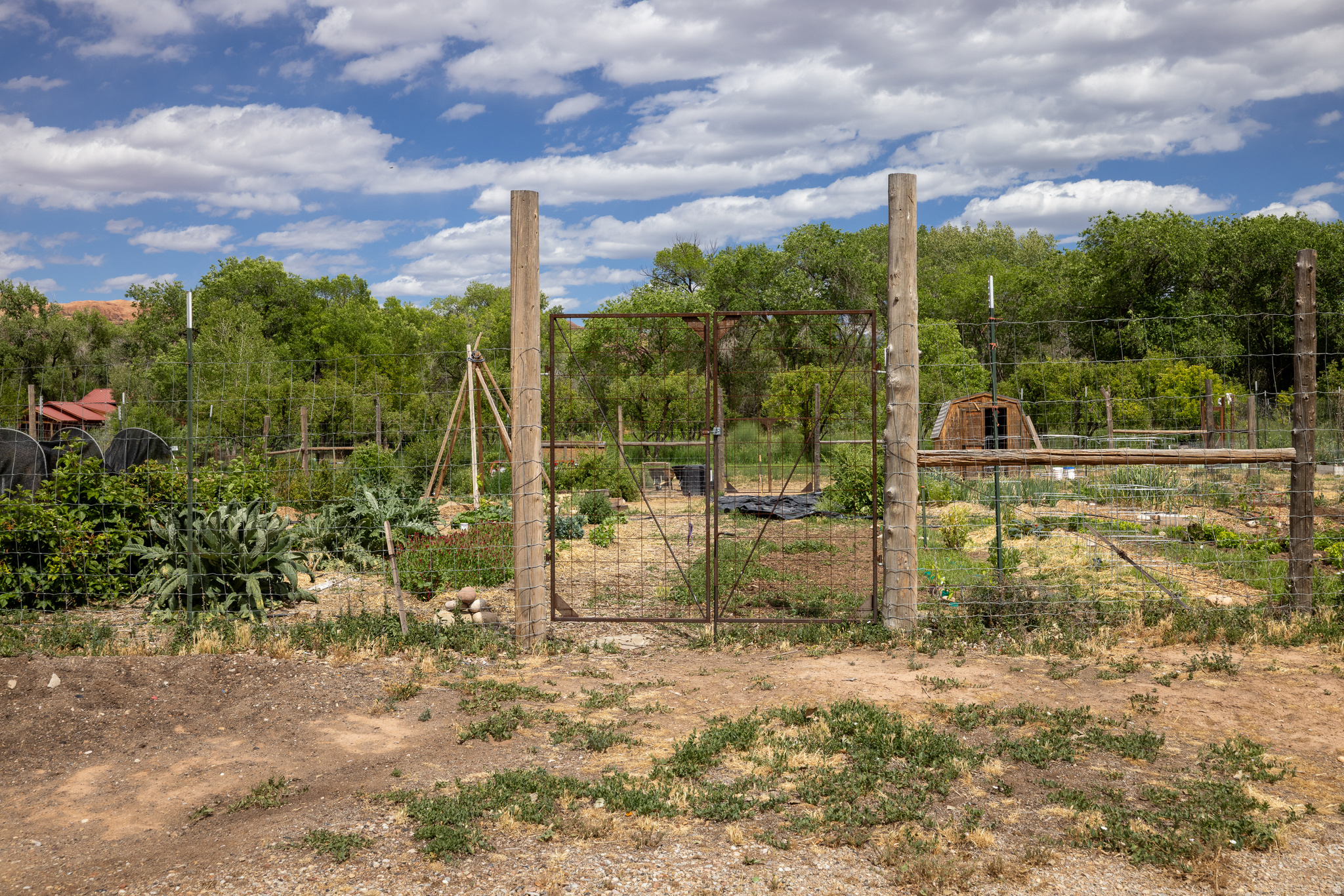 MULBERRY GROVE - Land