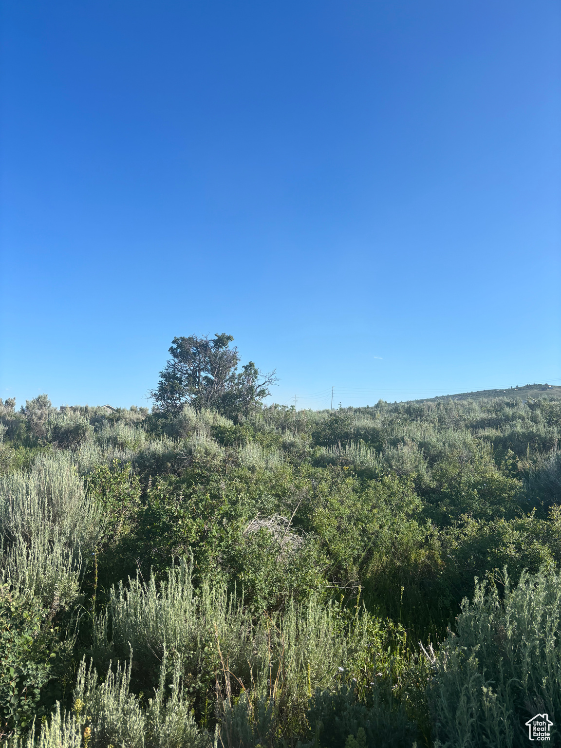 LONG RIDGE - Land