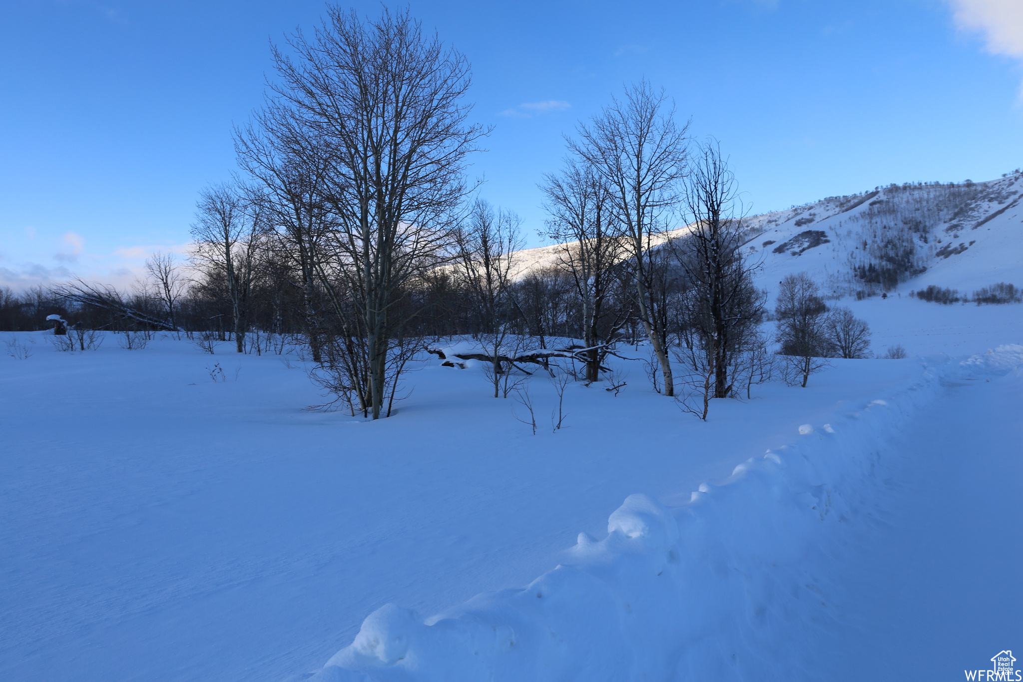 ASPEN COVE - Land