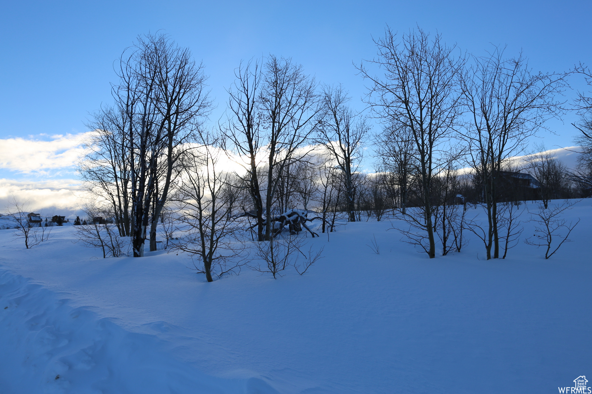 ASPEN COVE - Land